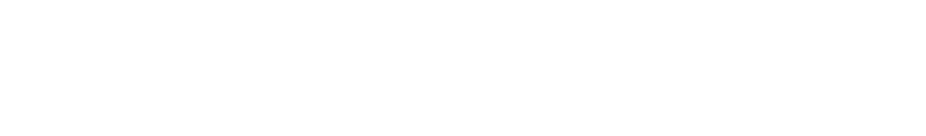 Rhonda Schlangen White Logo